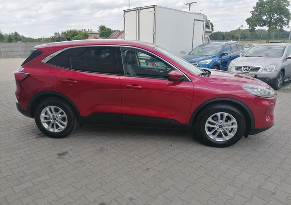 Ford Kuga cena 79900 przebieg: 51900, rok produkcji 2020 z Dąbrowa Tarnowska małe 436